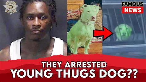 green ysl dog arrested|Young Thug and the YSL RICO trial, explained .